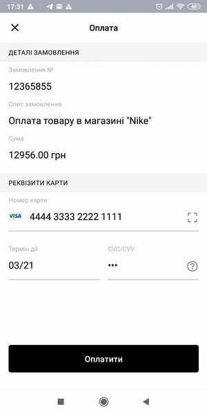 Приклад відображення екрану оплати карткою (без стилізації)