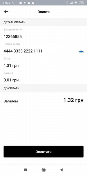 Приклад відображення екрану оплати карткою (без стилізації)
